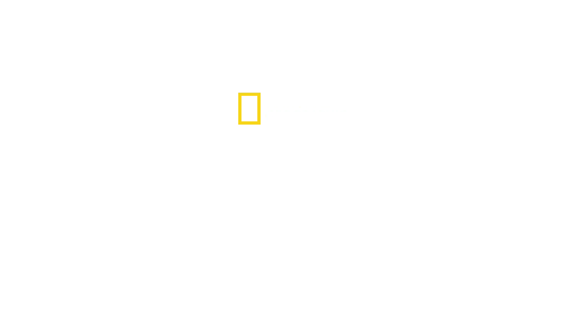 Alcatrazin hait
