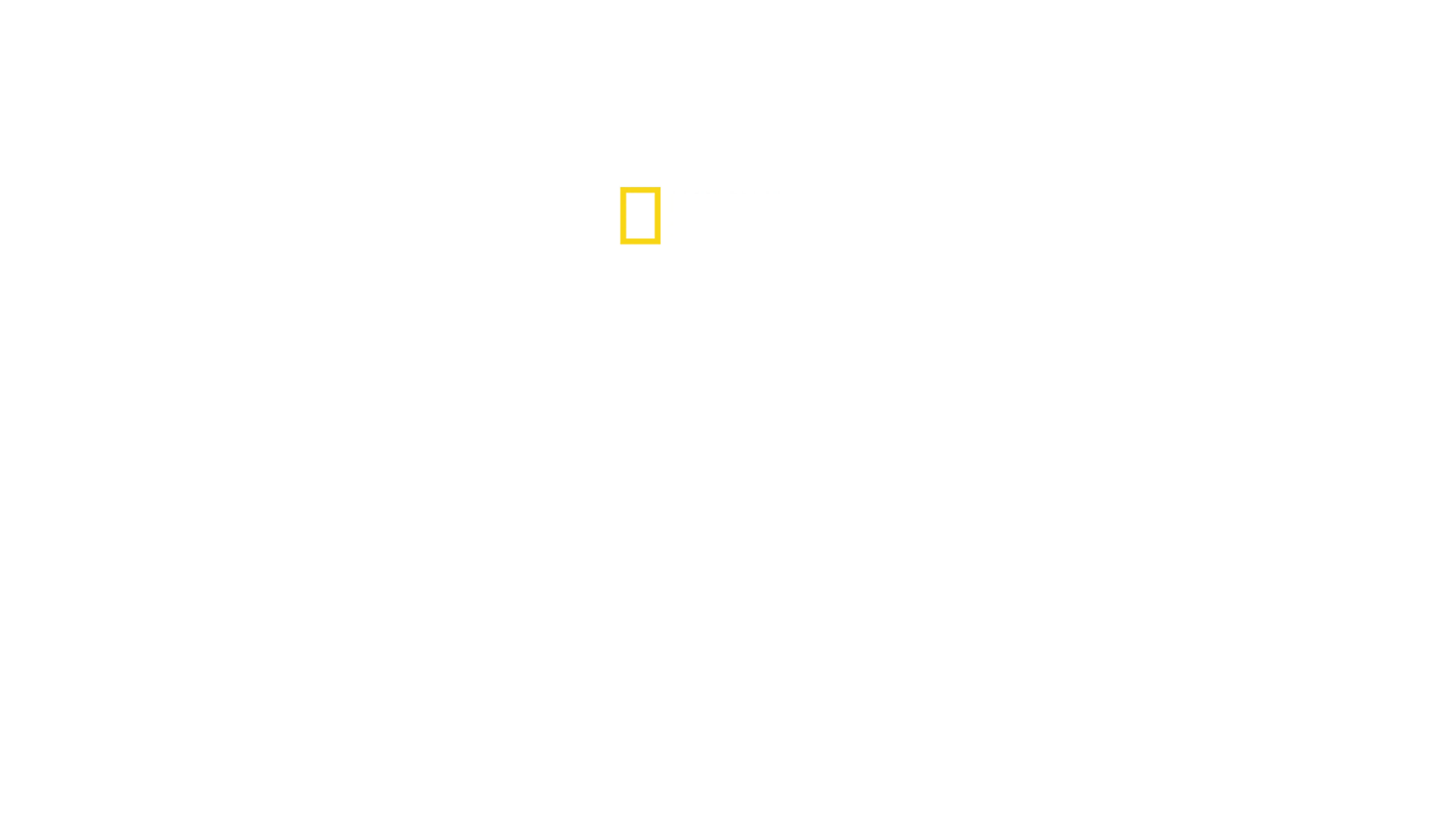 Egzotik Hayvanlara İlk Yardım