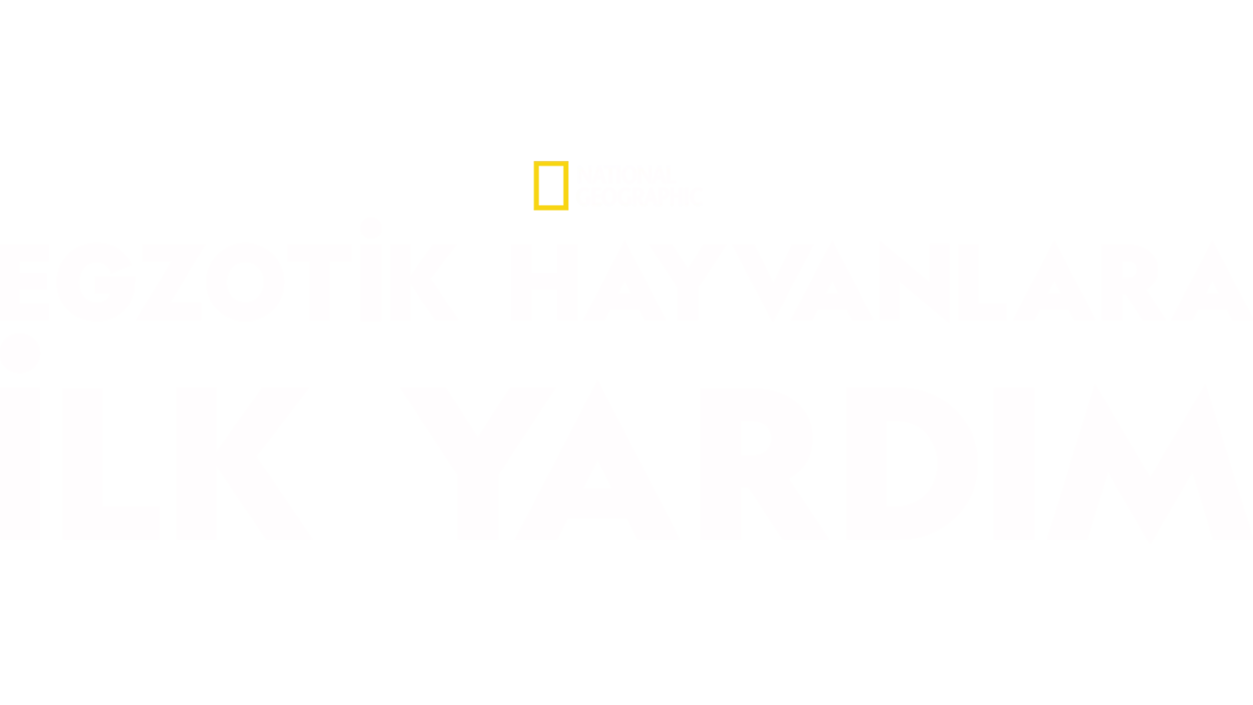 Egzotik Hayvanlara İlk Yardım