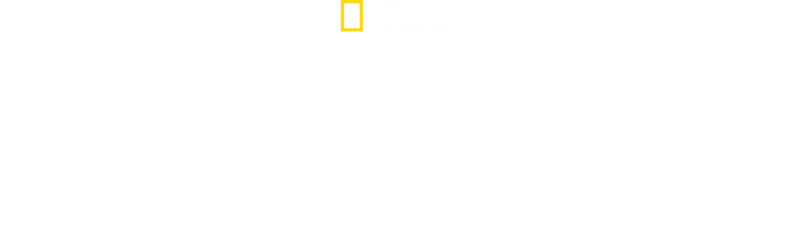 Egzotik Hayvanlara İlk Yardım