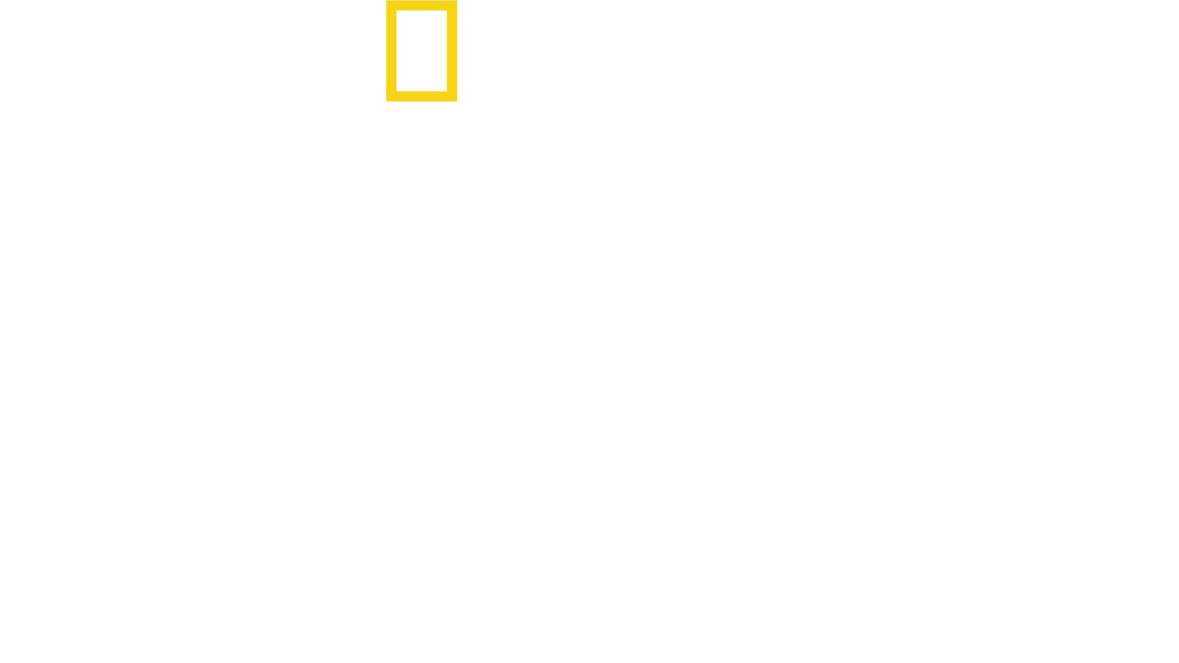 Élet az SS-ben
