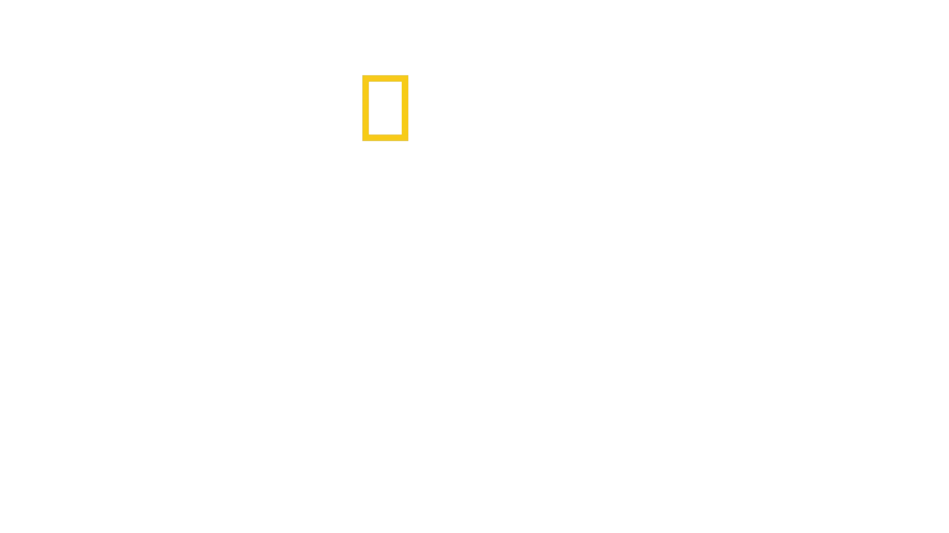 The Territory