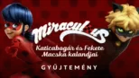 thumbnail - Miraculous: Katicabogár és Fekete Macska kalandjai
