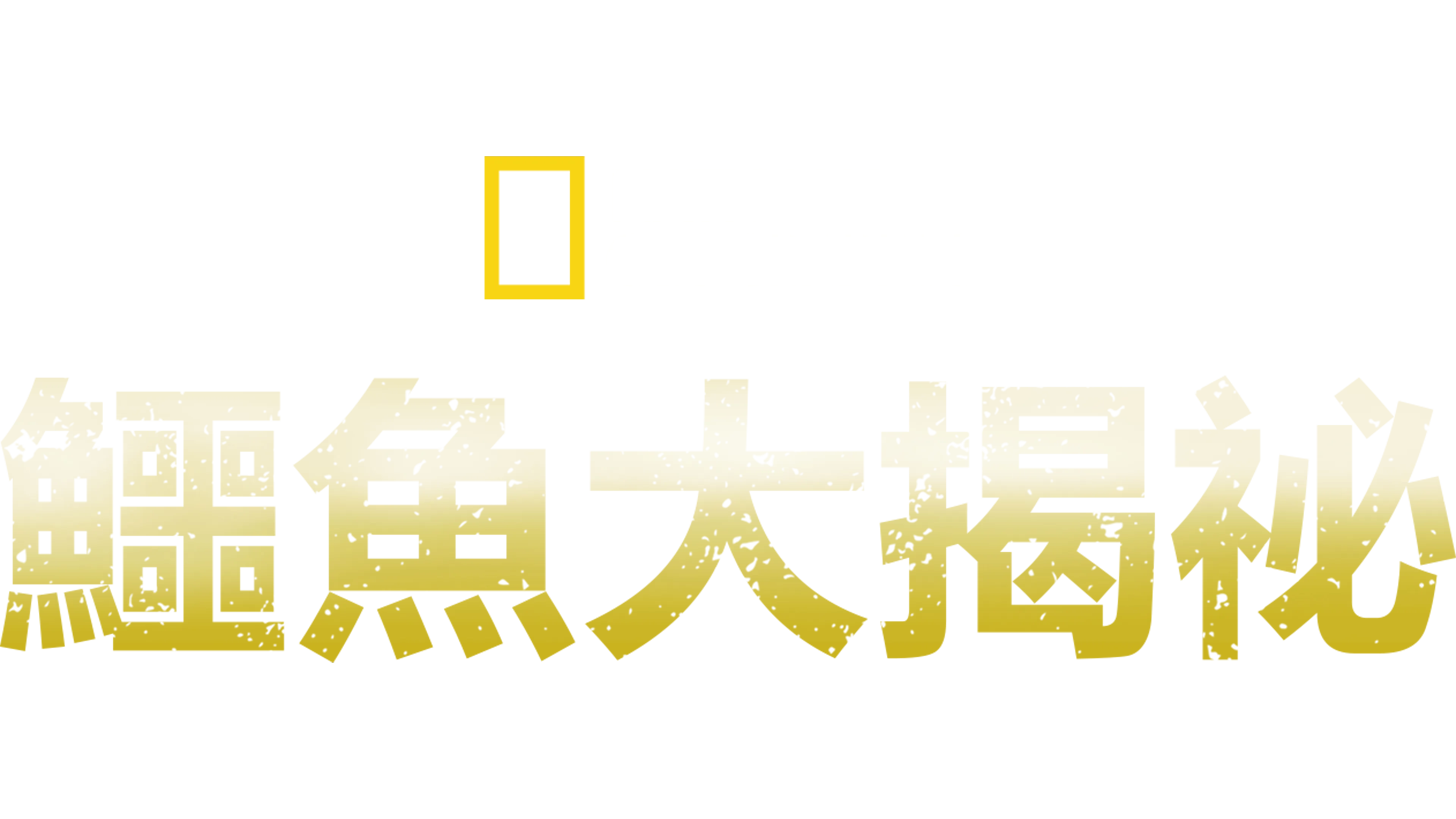 鱷魚大揭祕