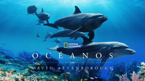 thumbnail - Océanos con David Attenborough
