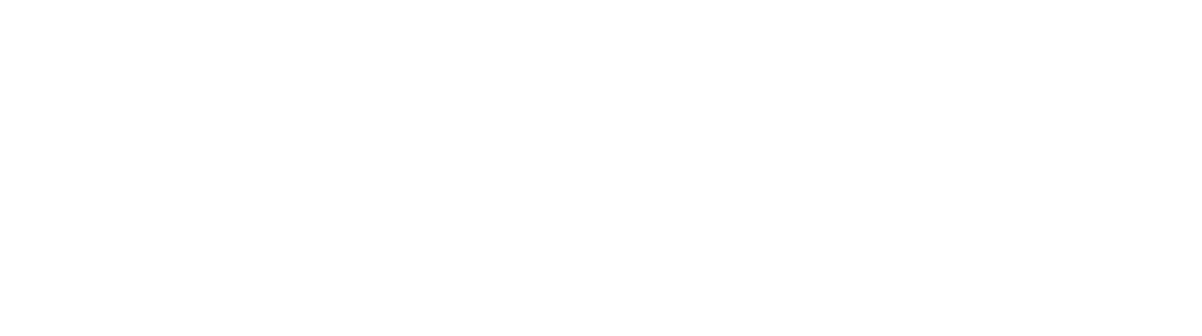 黑天鹅