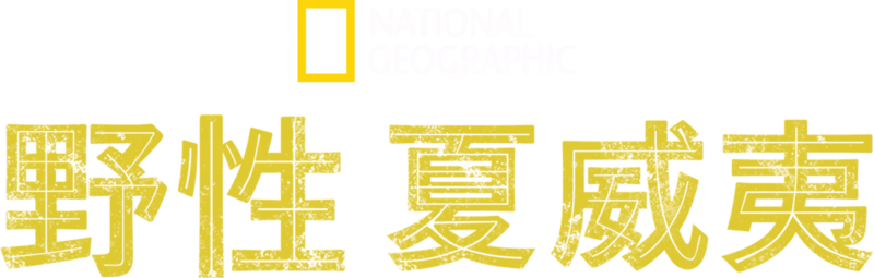 野性夏威夷