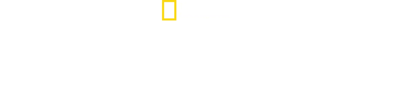 Arctic Ascent with Alex Honnold