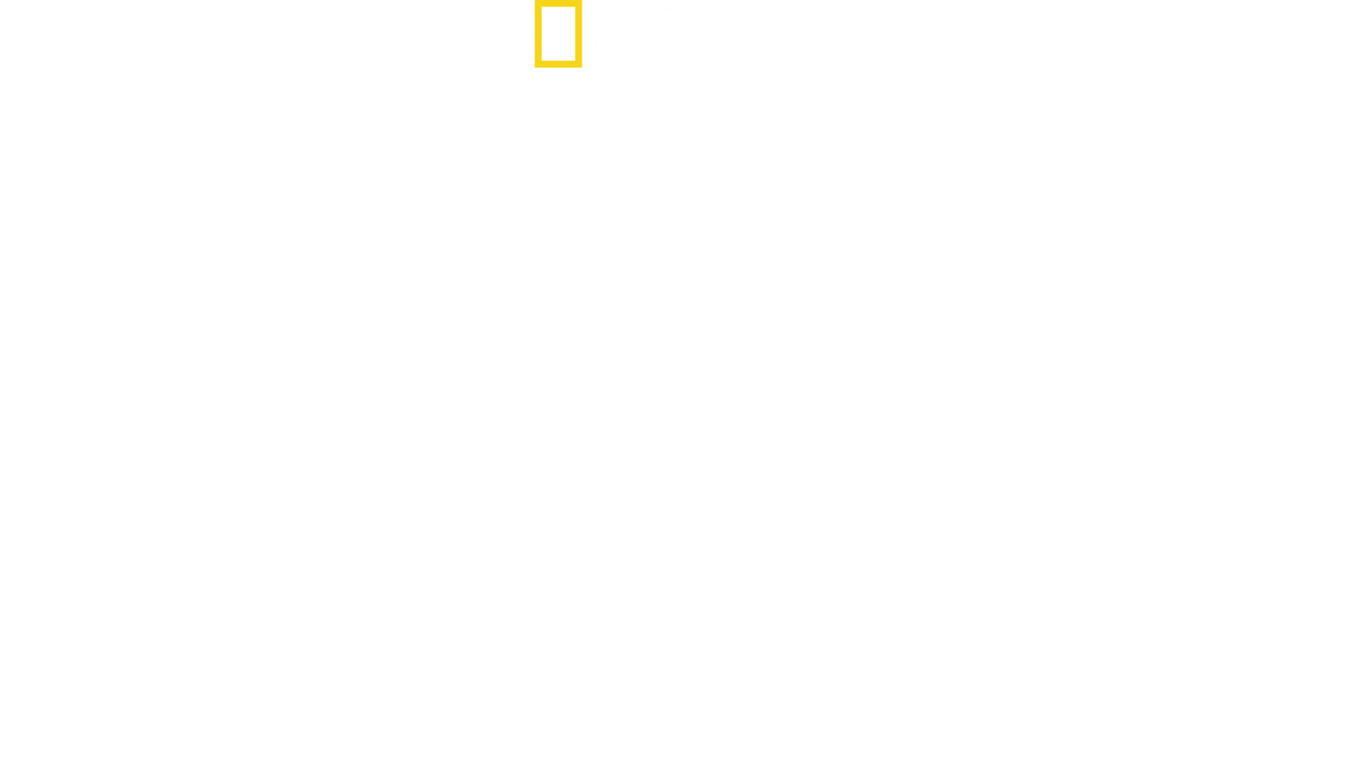 Verdens dødeligste slanger