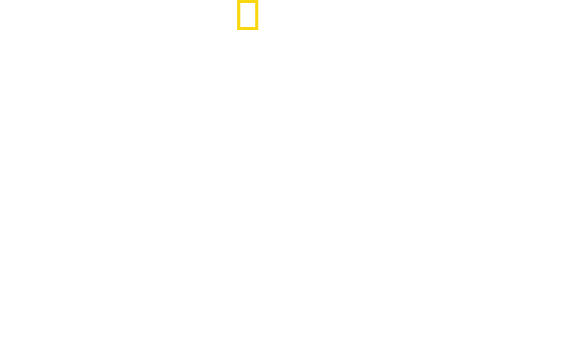 Verdens dødeligste slanger