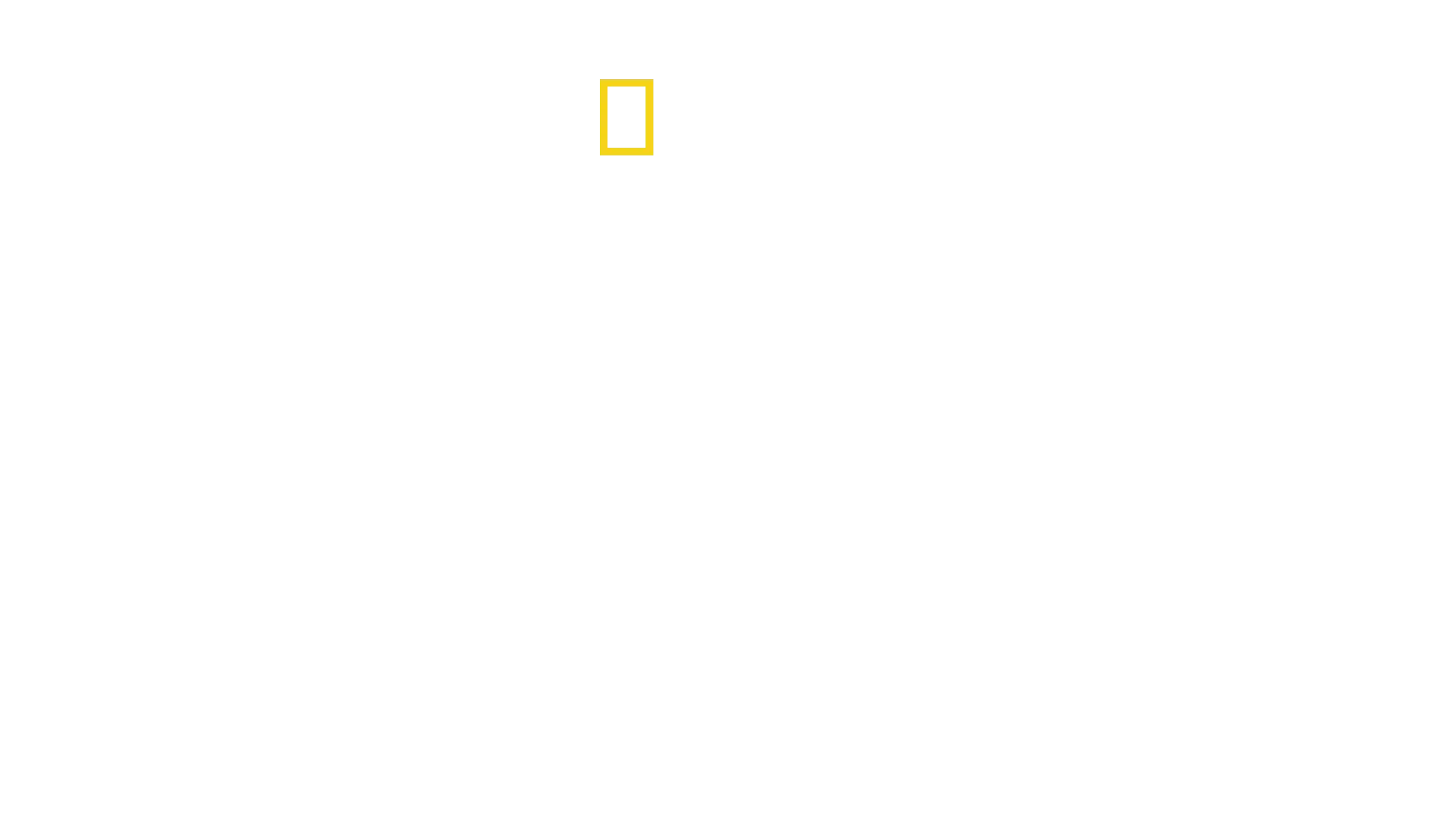 Verdens vildeste maskiner