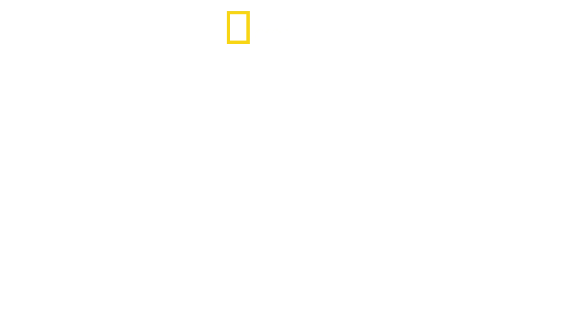 En tiempo récord