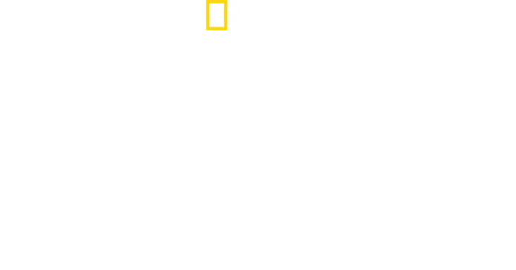 En tiempo récord