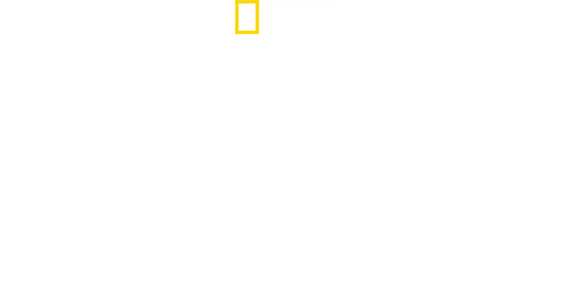 En tiempo récord