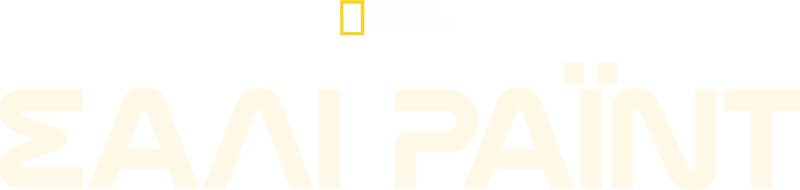 Σάλι
