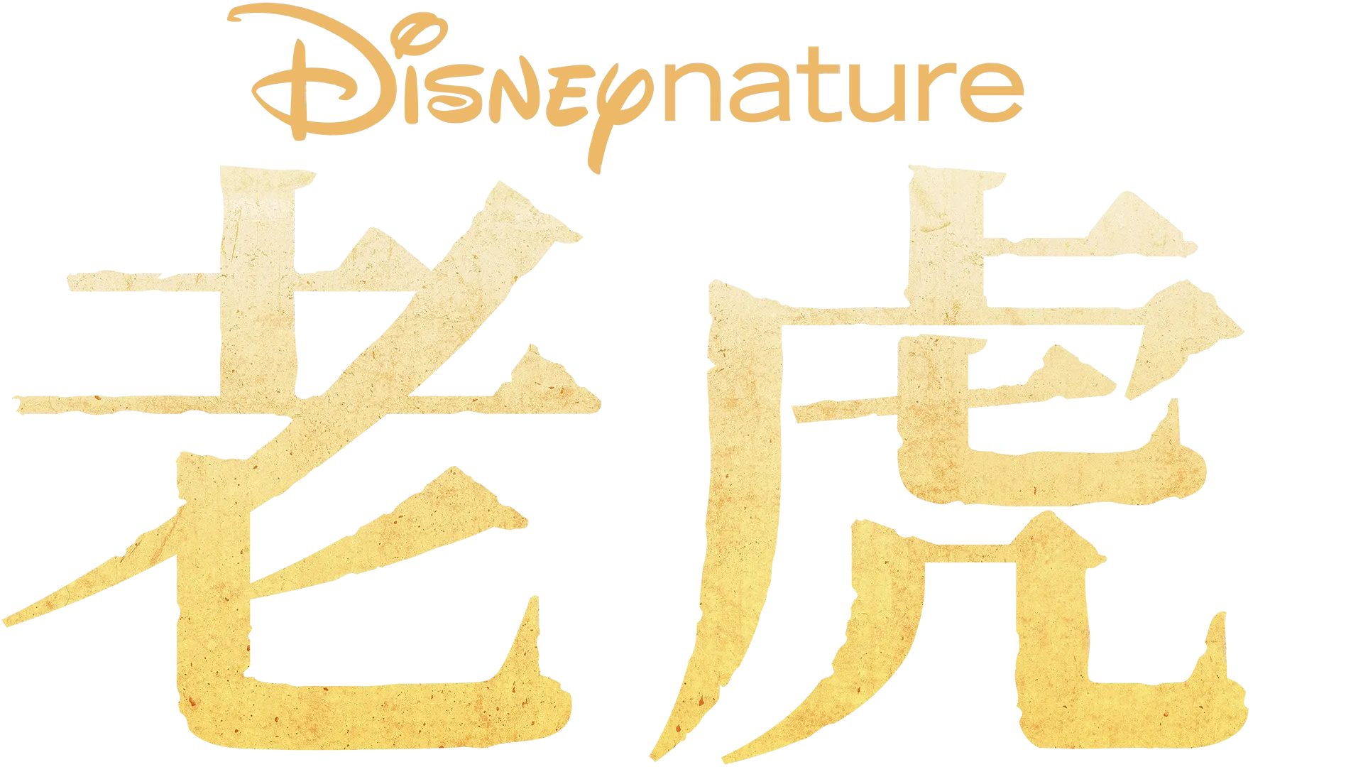 老虎