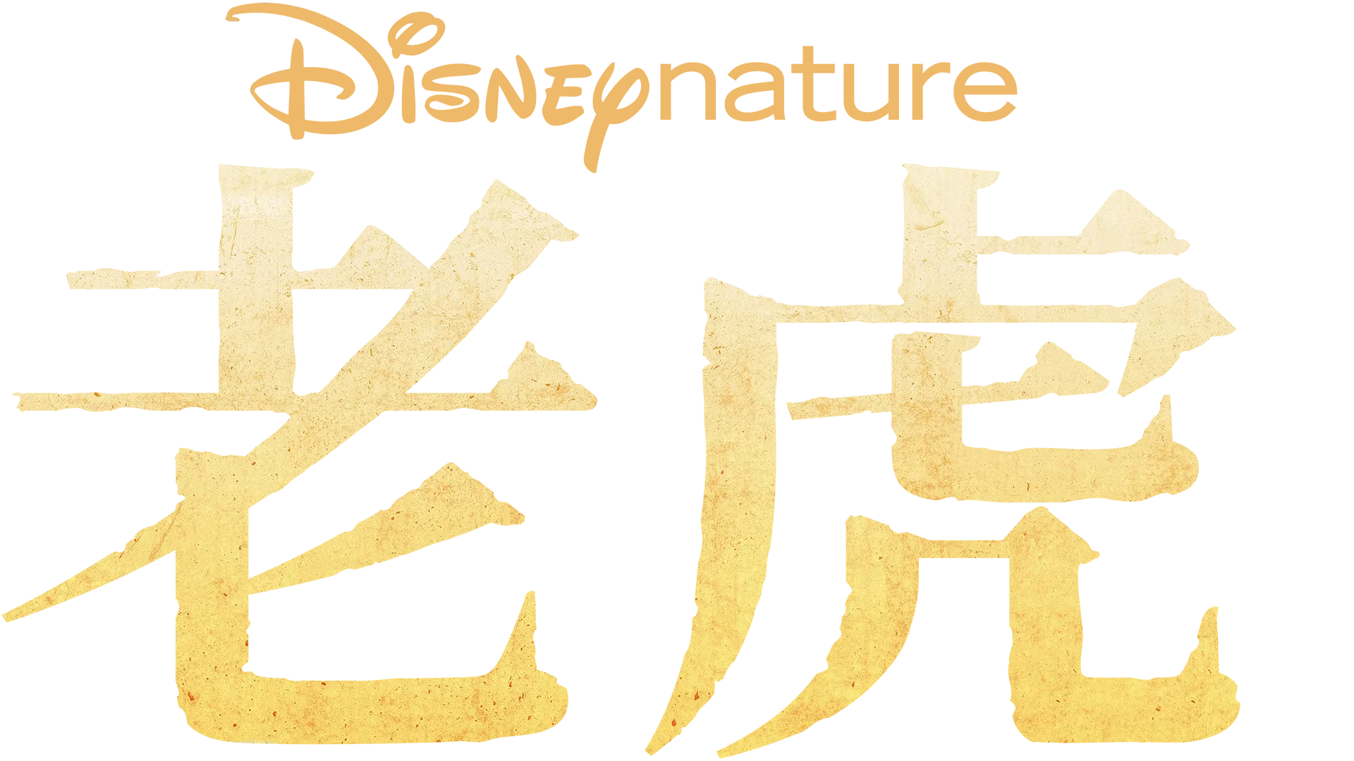 老虎