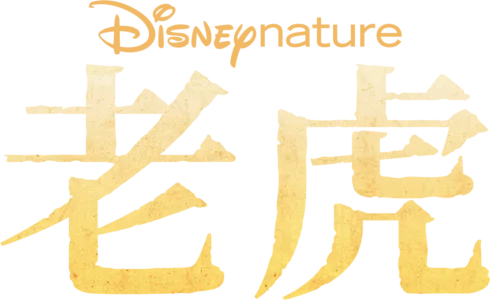 老虎