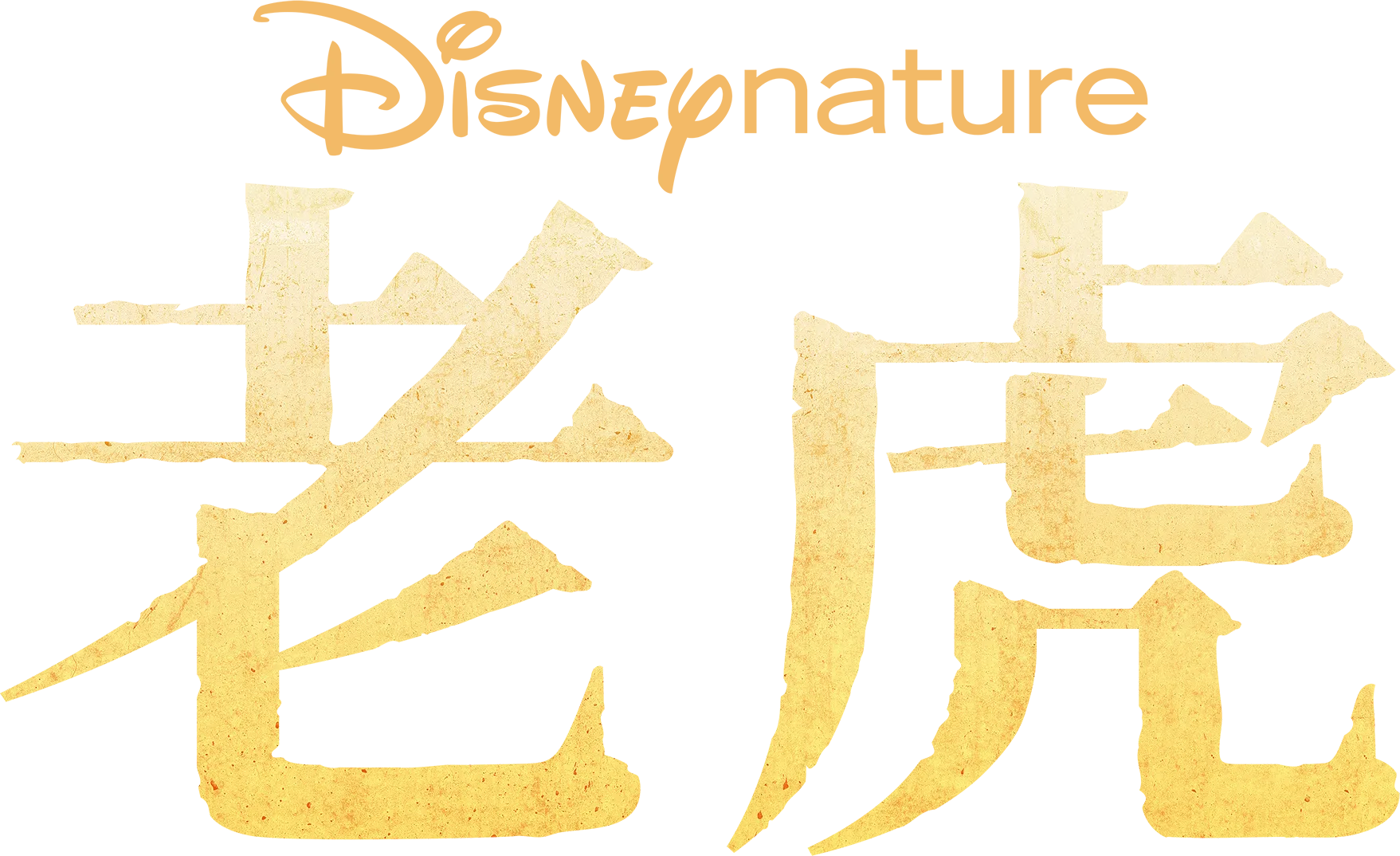 老虎