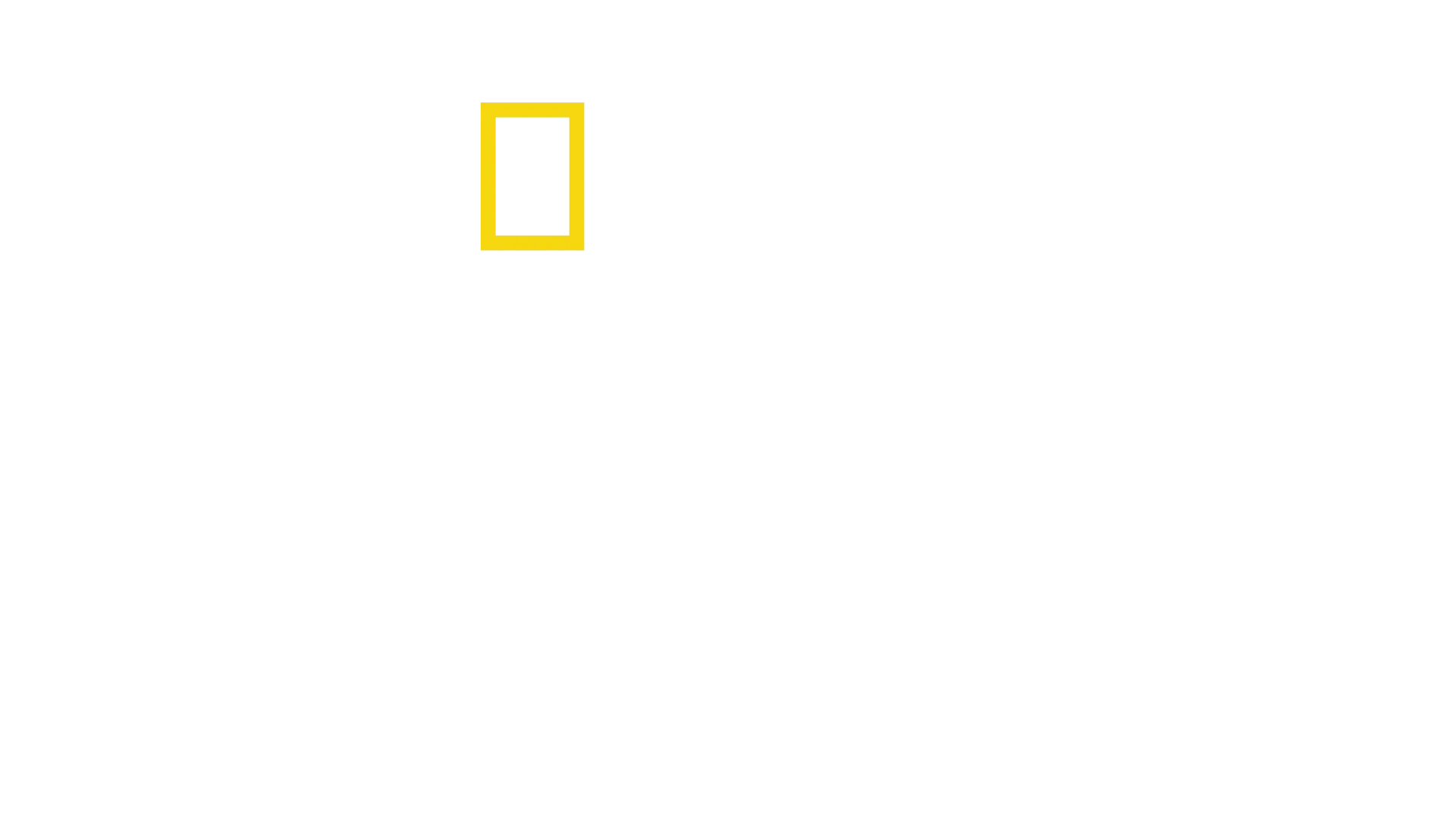 Amsterdam Centraal 24/7