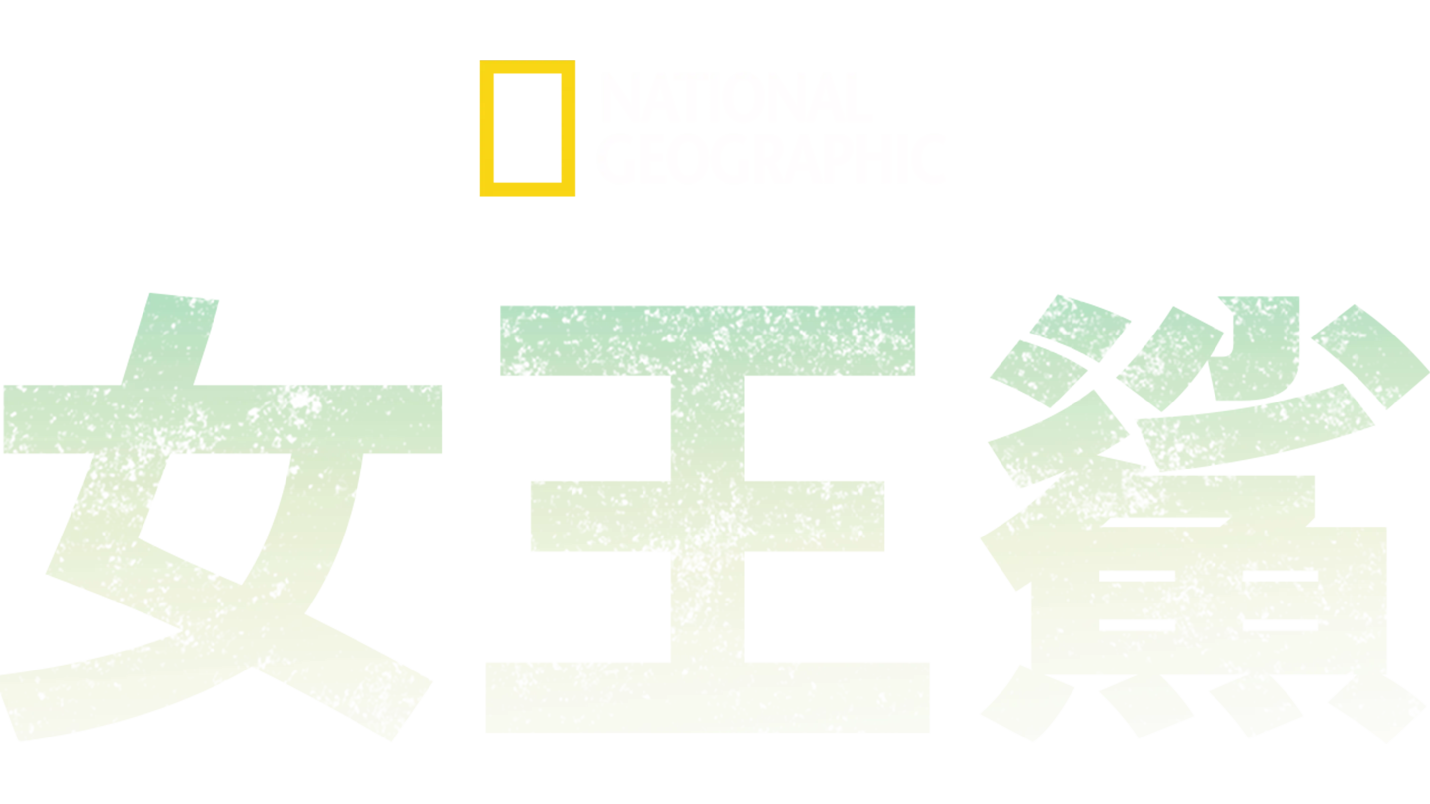 女王鯊