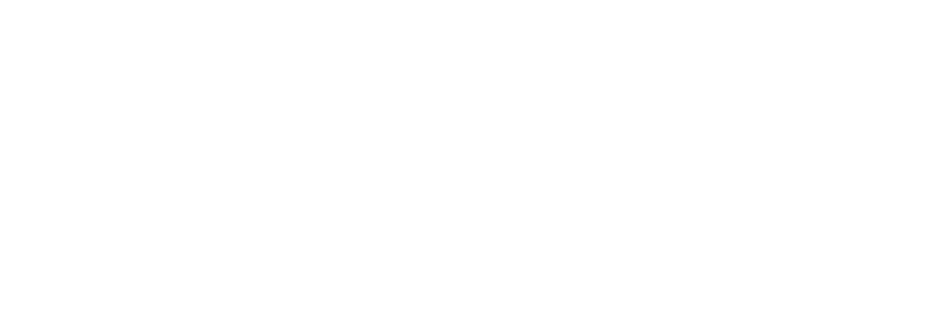 O Jovem Cavalo Negro