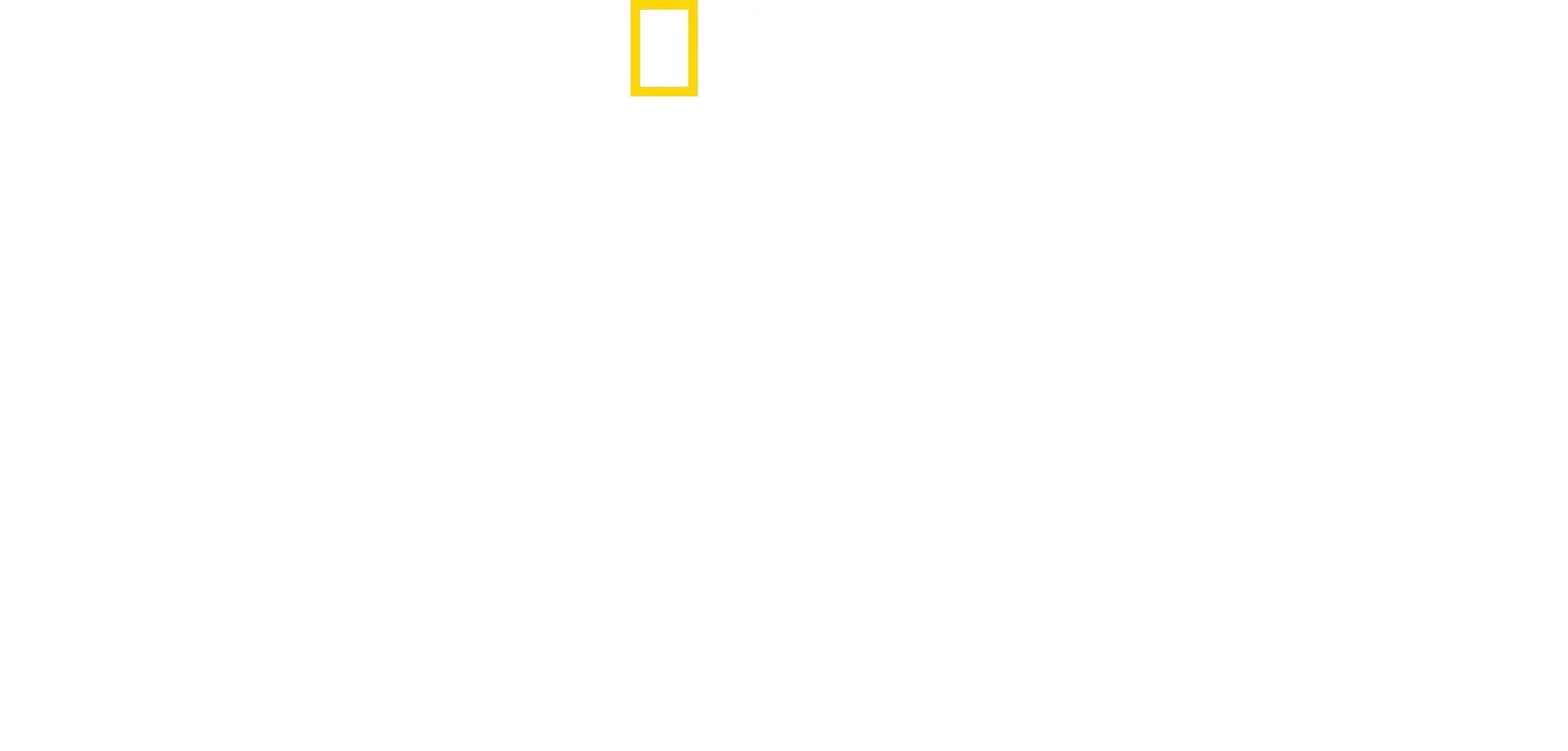 Wild Yellowstone