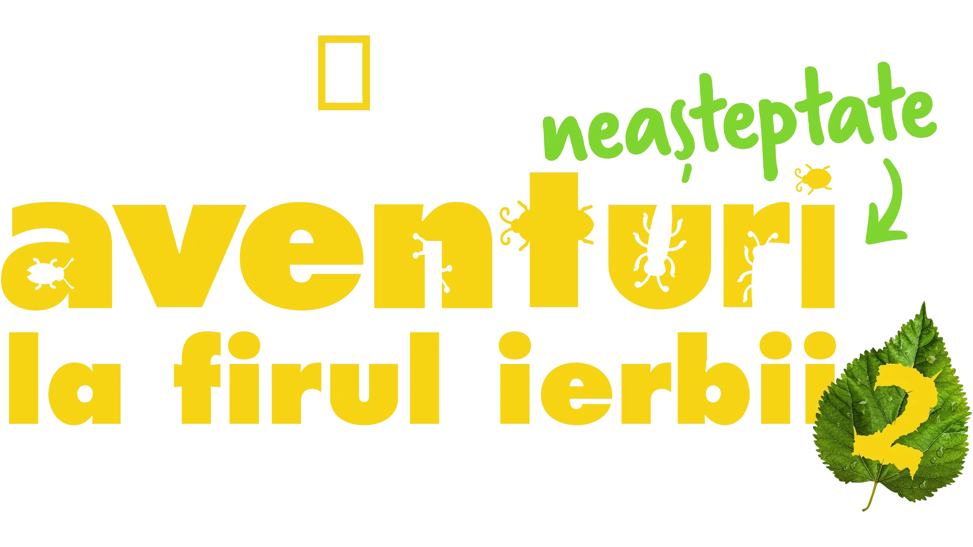 Aventuri neașteptate la firul ierbii