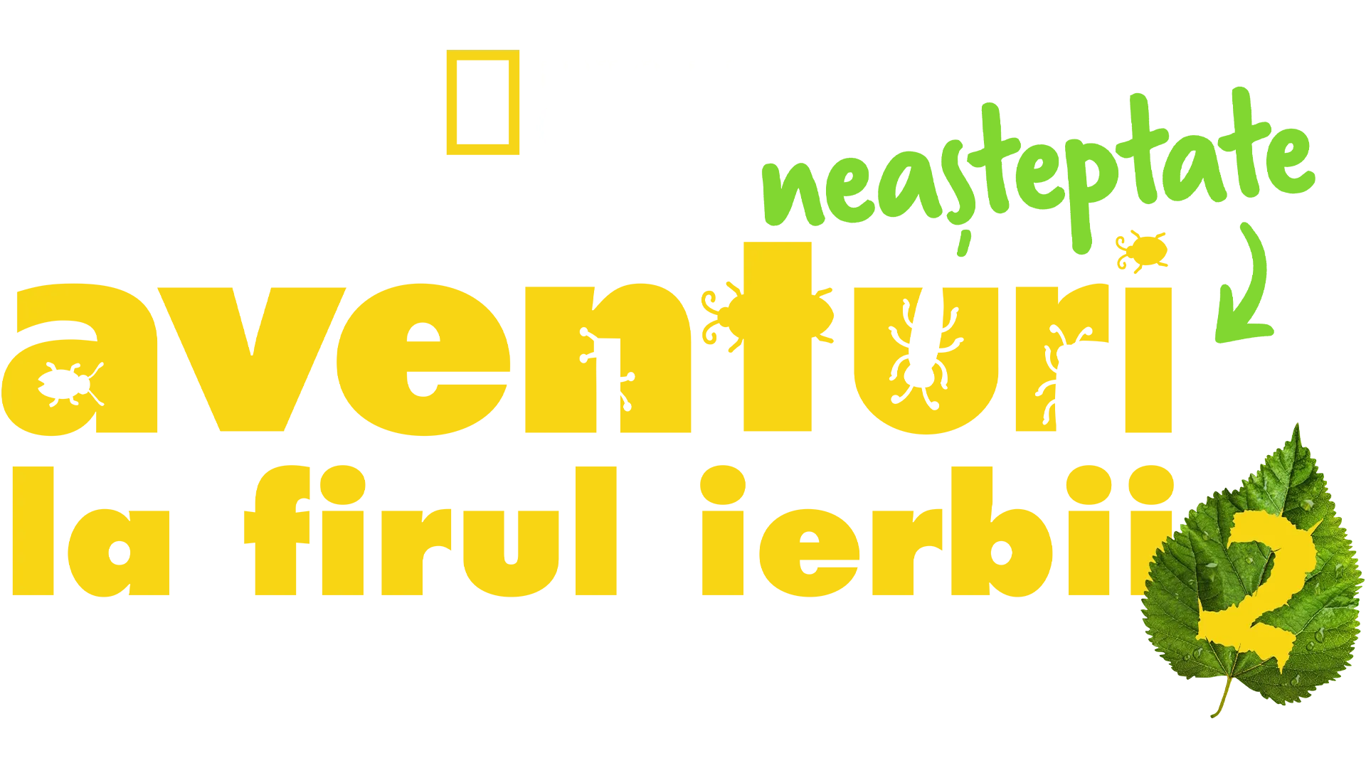 Aventuri neașteptate la firul ierbii