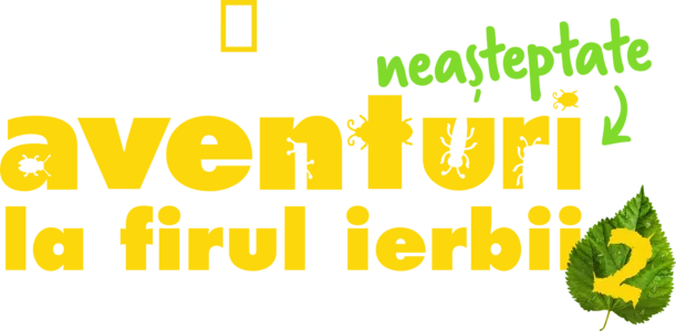 Aventuri neașteptate la firul ierbii