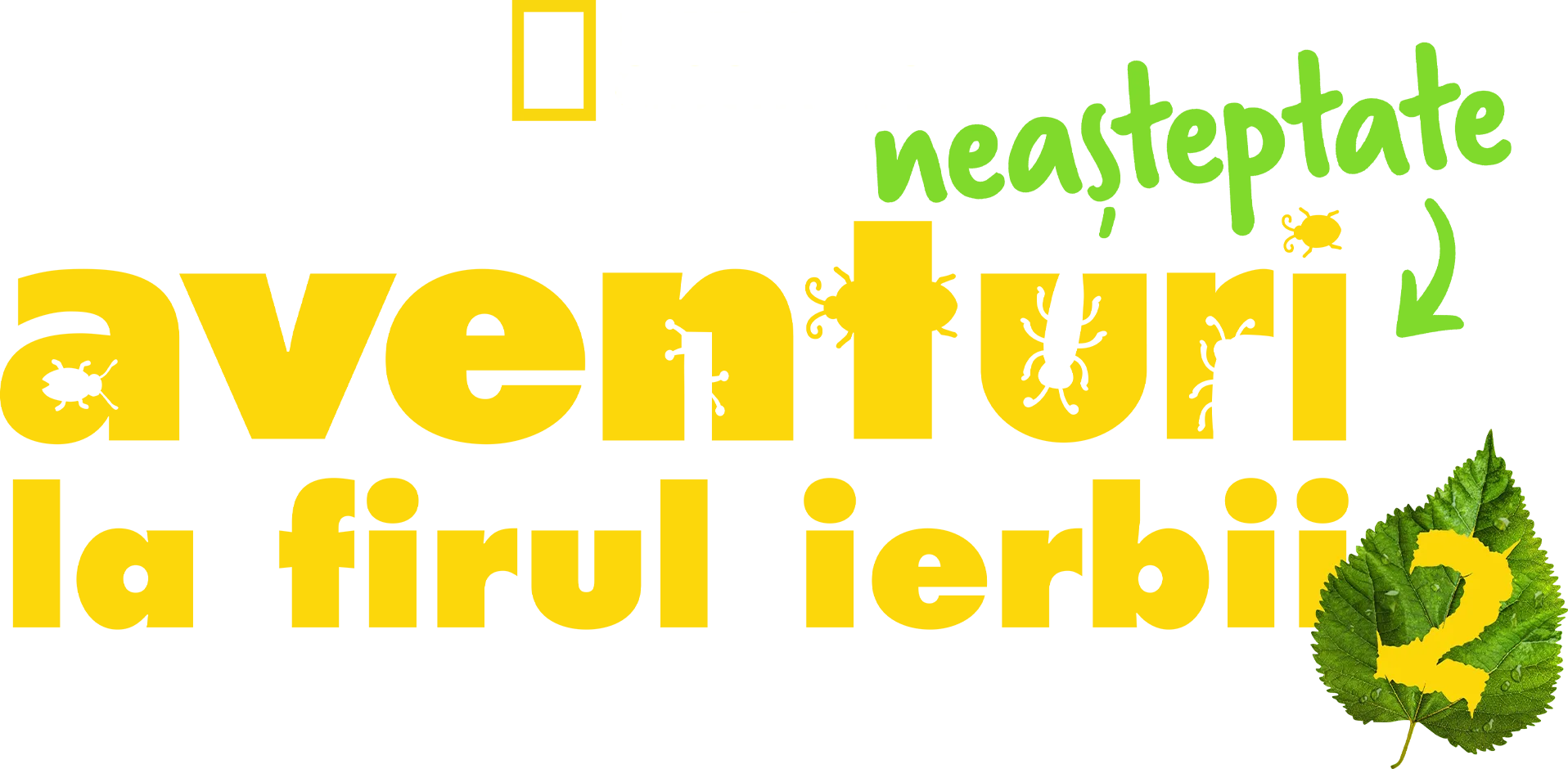 Aventuri neașteptate la firul ierbii