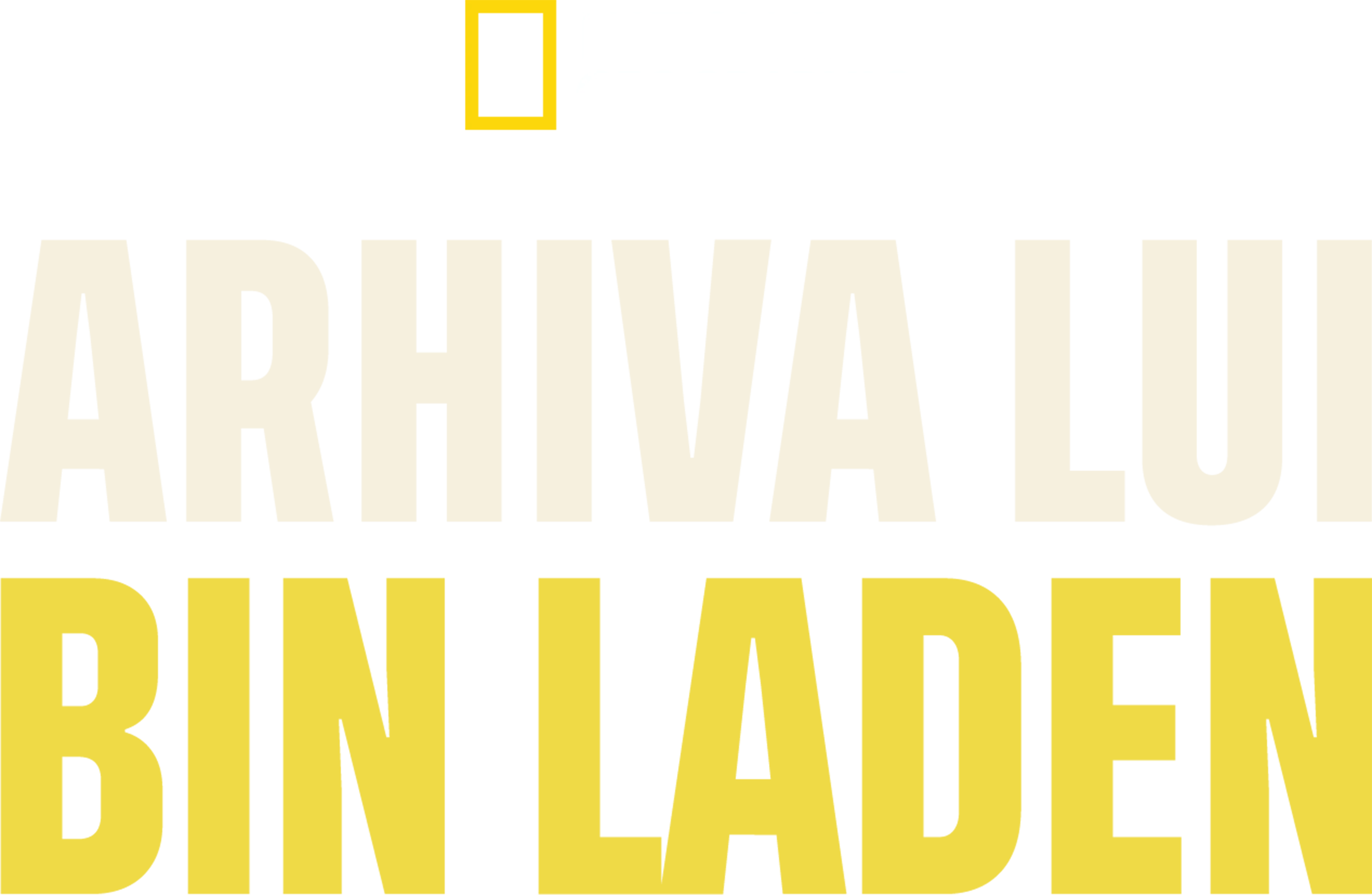 Arhiva lui Bin Laden