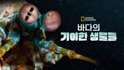 바다의 기이한 생물들