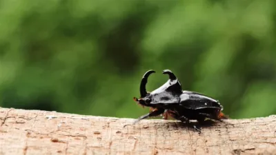 thumbnail - S1:E5 South America