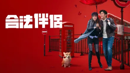 thumbnail - 合法伴侶