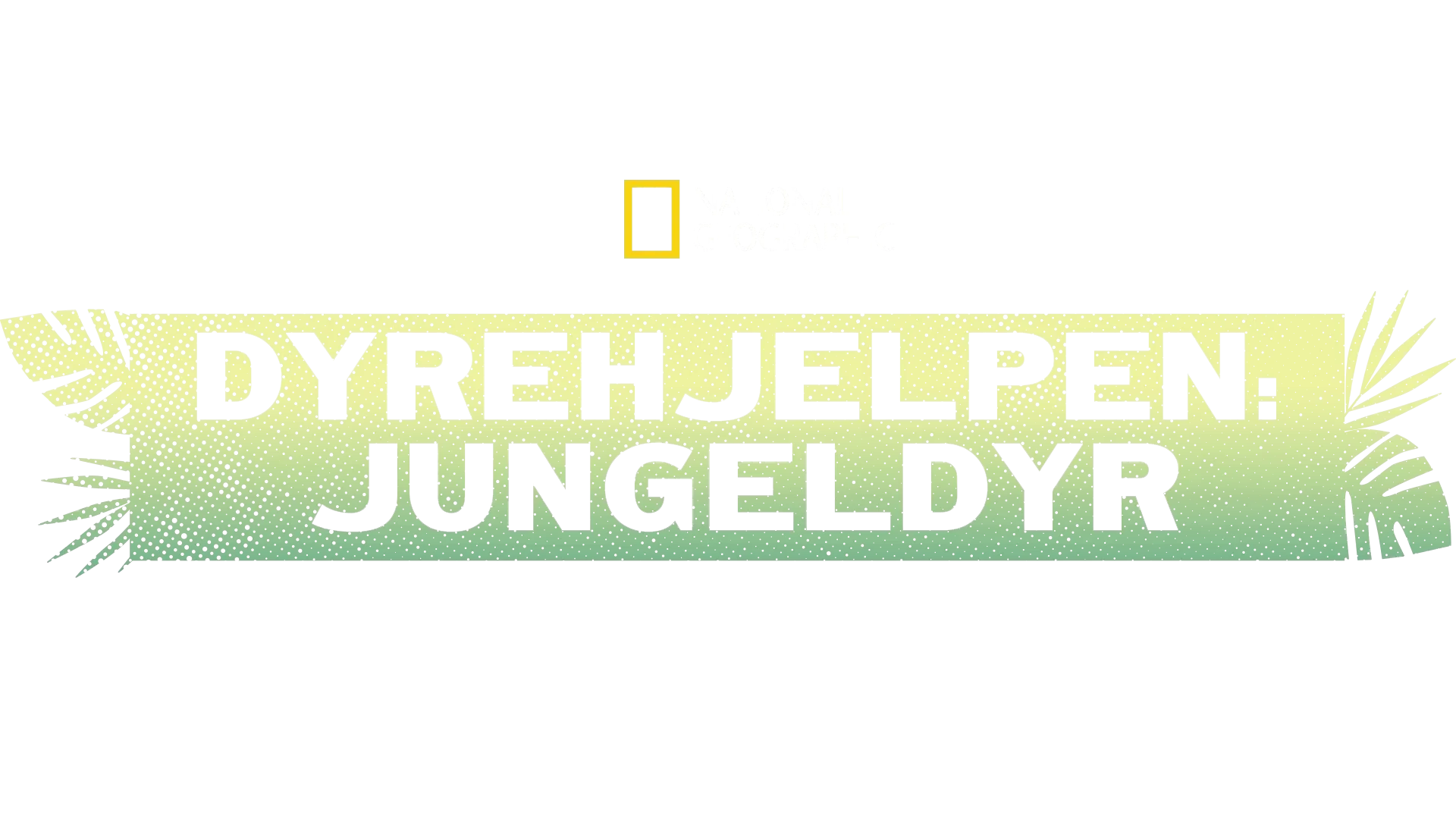Dyreredning i jungelen