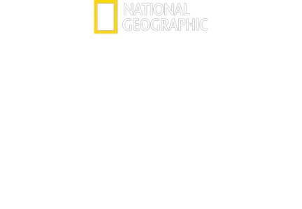 Spuren verlorener Städte mit Albert Lin