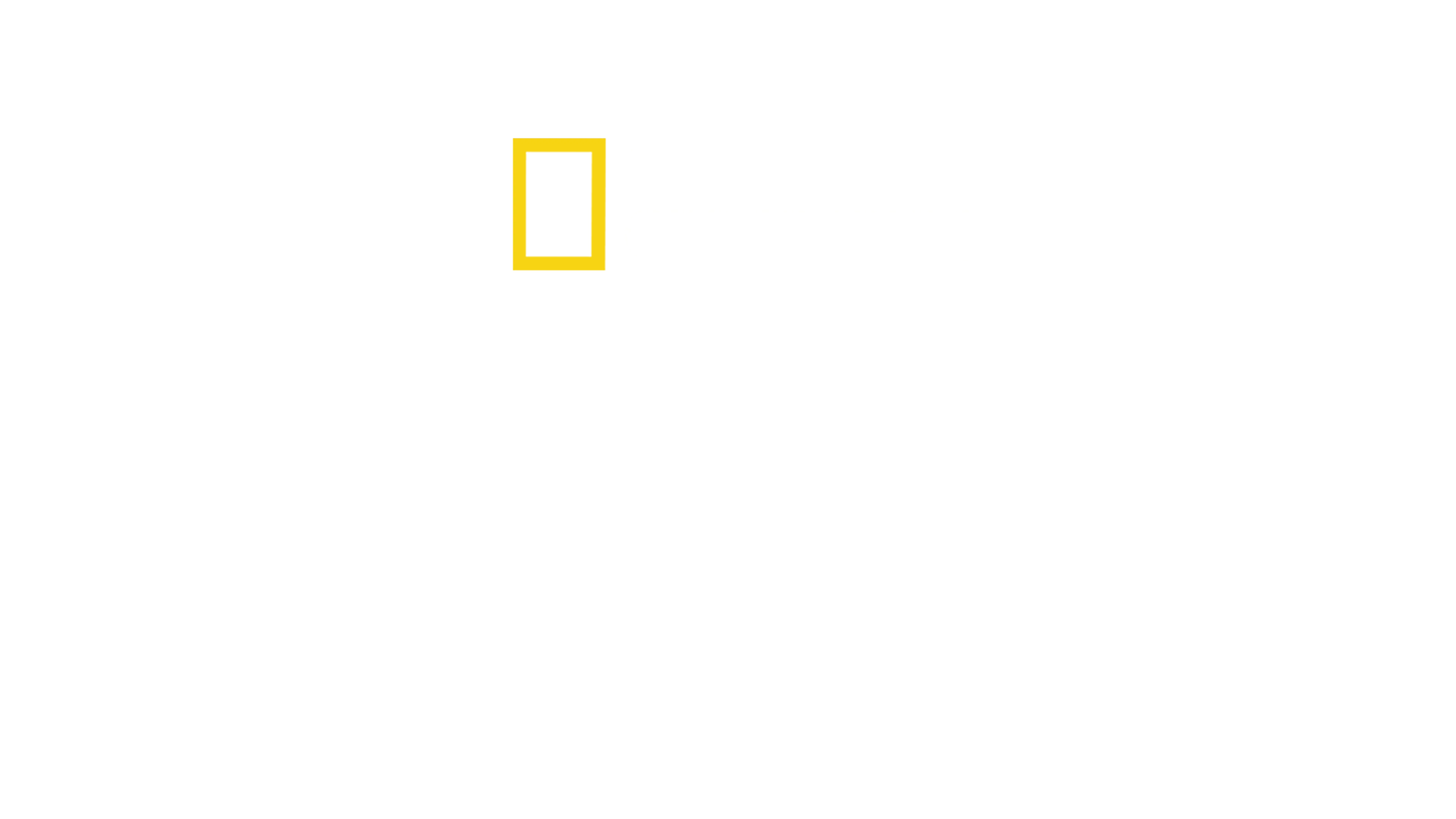 Venezia: Il Futuro Del Pianeta