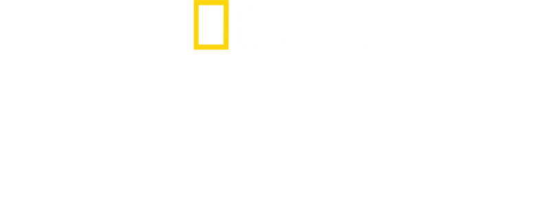 Venezia: Il Futuro Del Pianeta