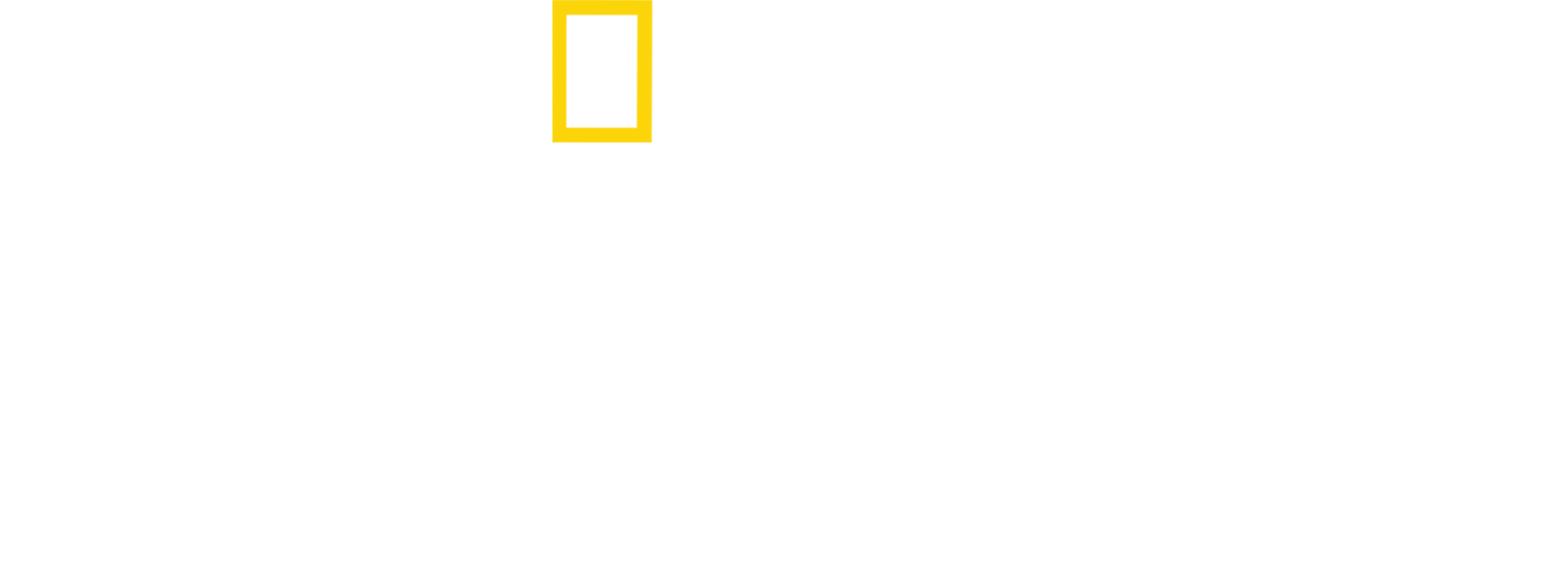Venezia: Il Futuro Del Pianeta