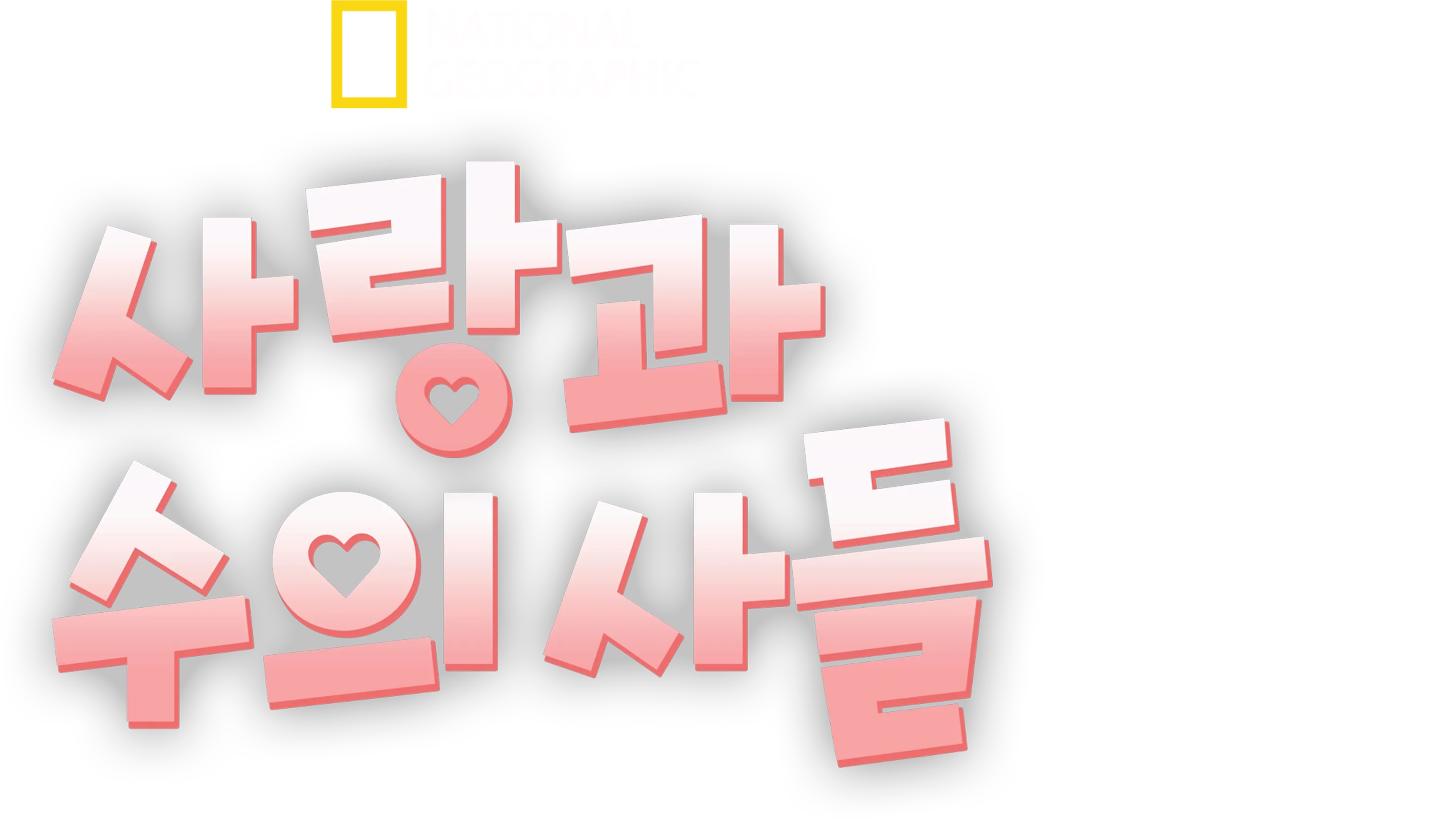 사랑과 수의사들