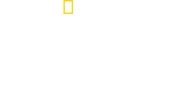 Η Ιστορία του Κουστώ