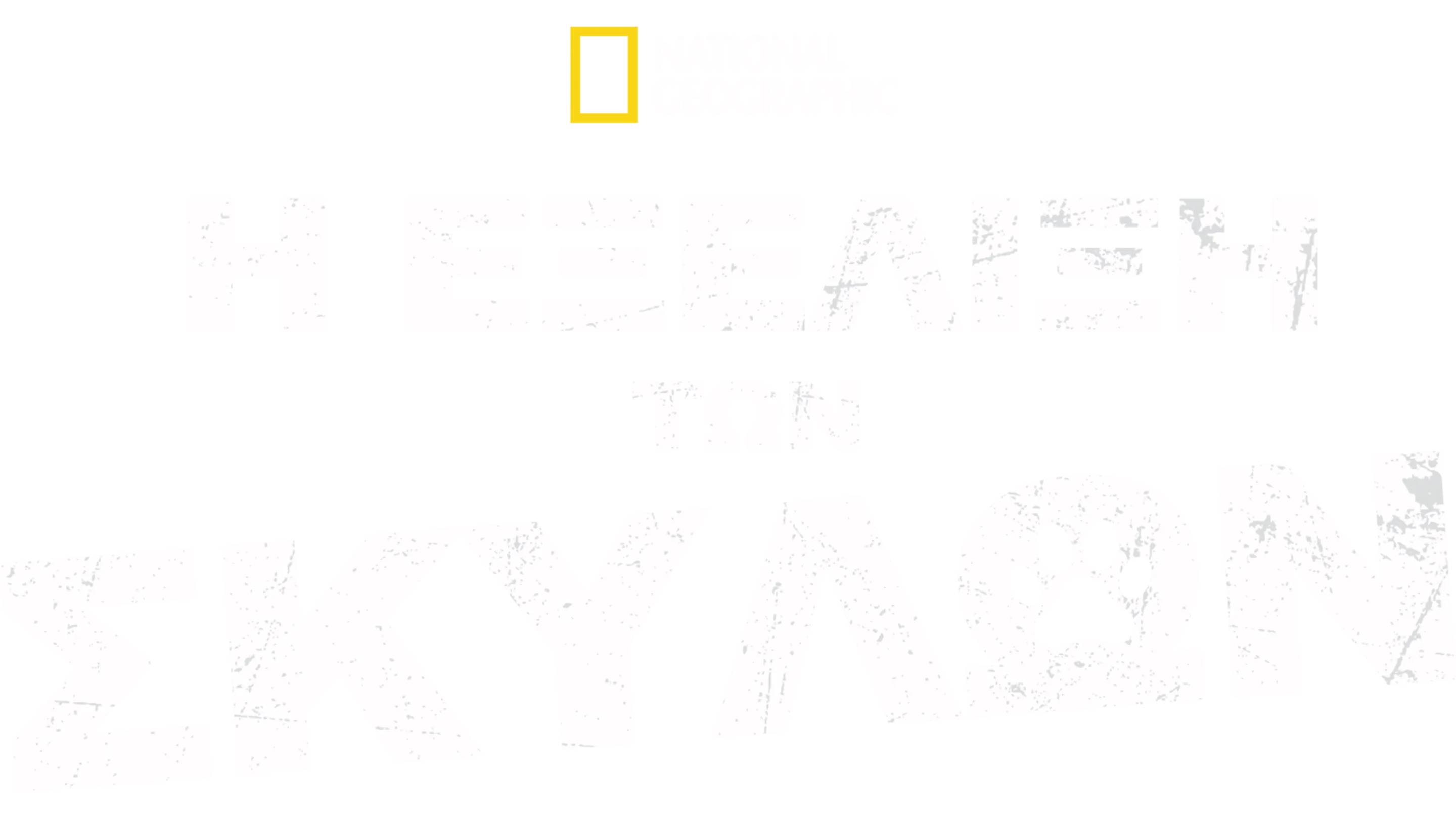 Η Εξέλιξη των Σκύλων