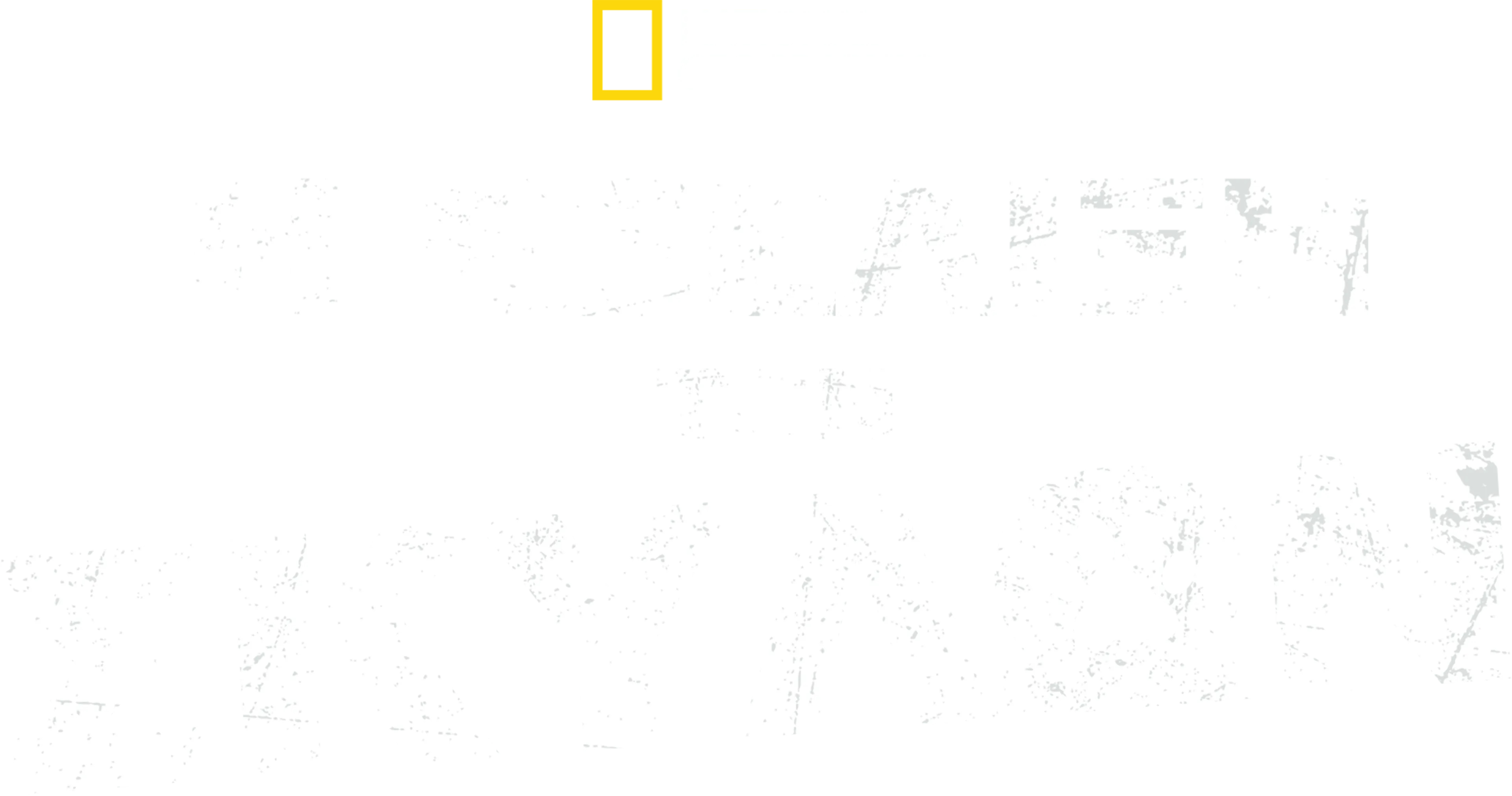 Η Εξέλιξη των Σκύλων