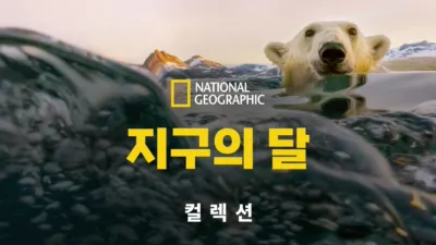 thumbnail - 지구의 달