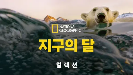 thumbnail - 지구의 달
