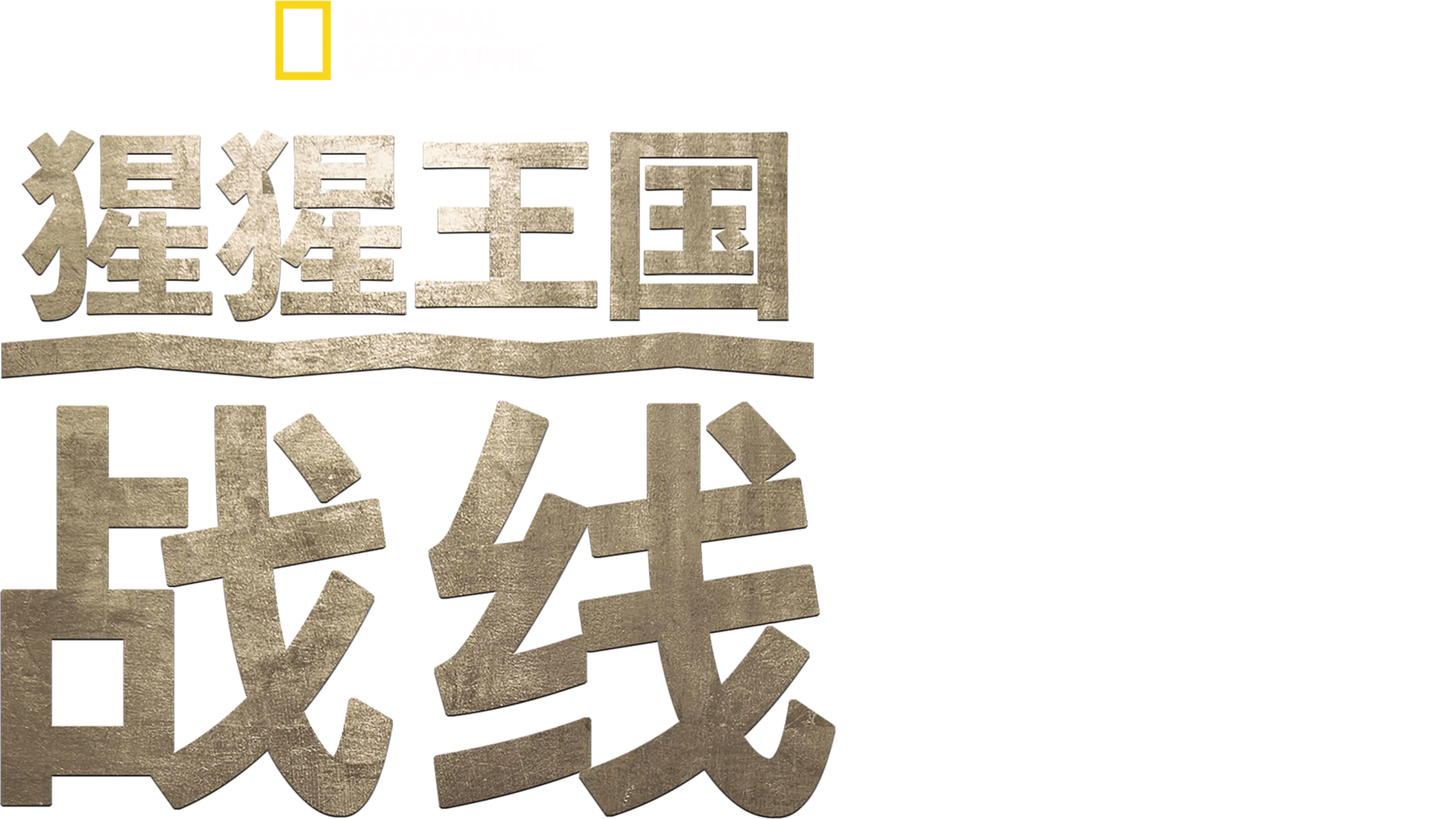 猩猩王国：战线
