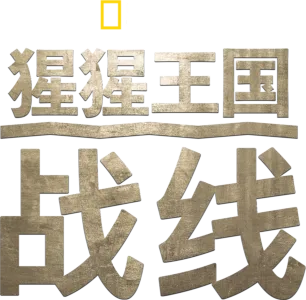 猩猩王国：战线