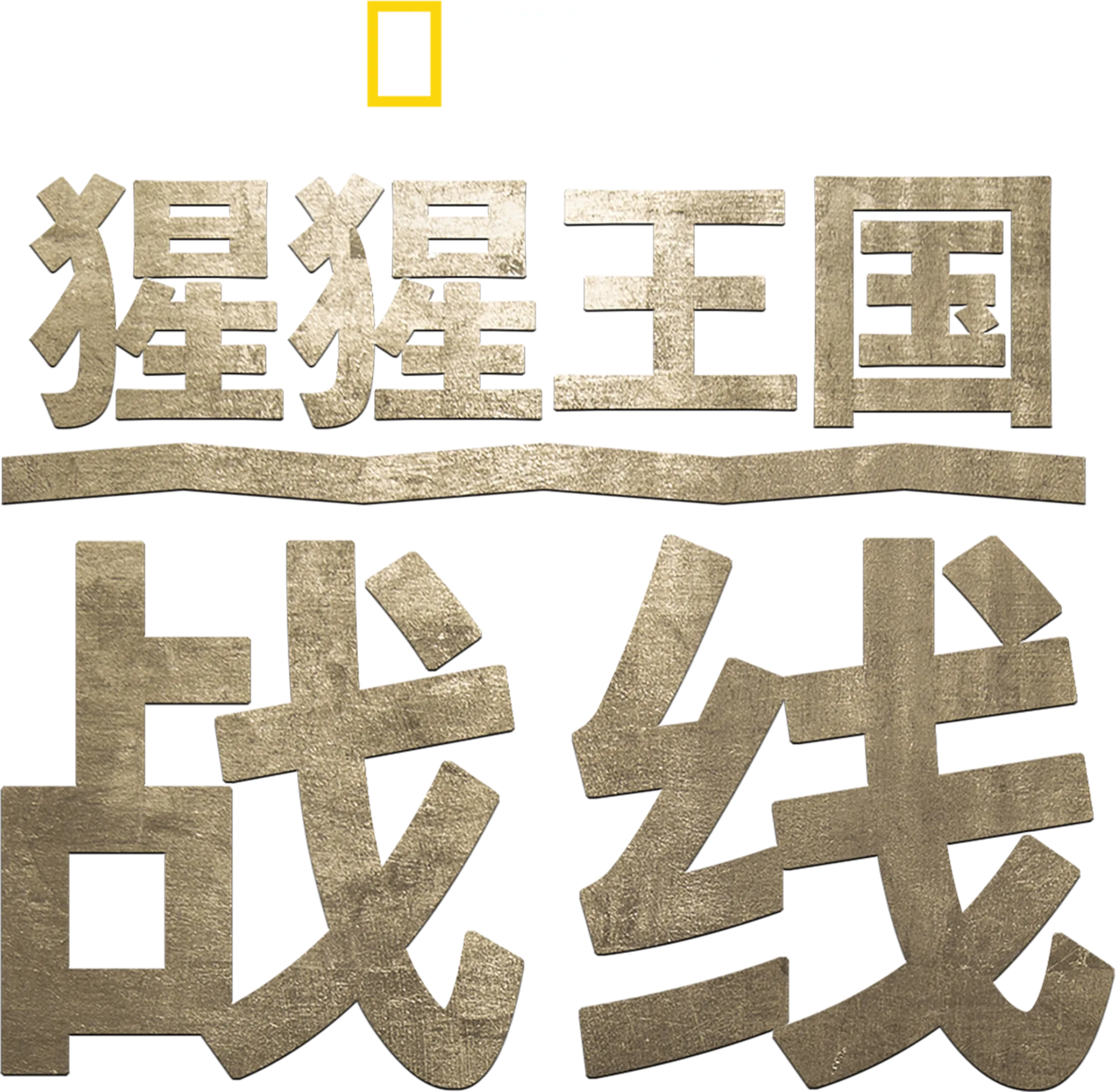猩猩王国：战线
