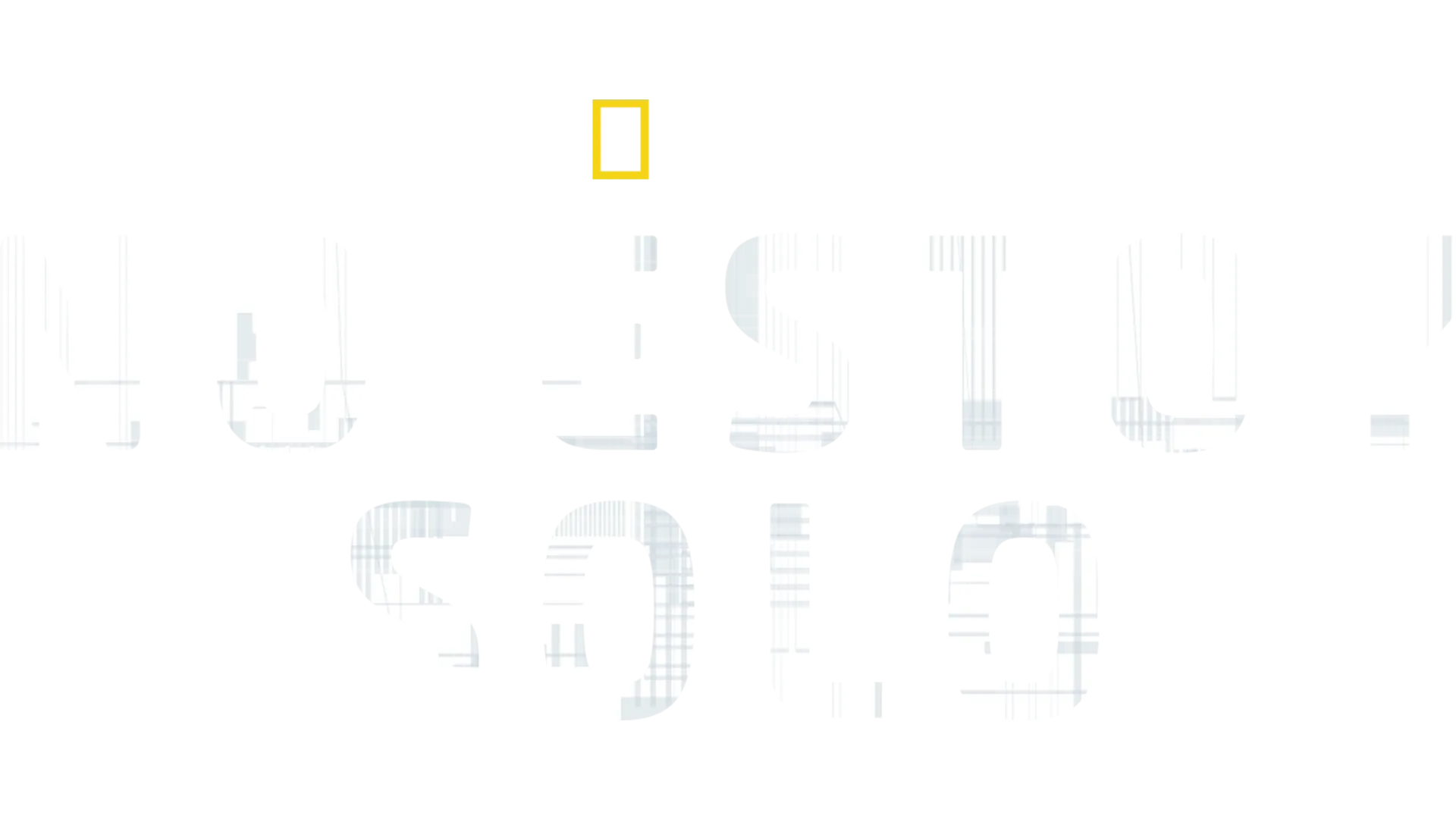 No estoy solo